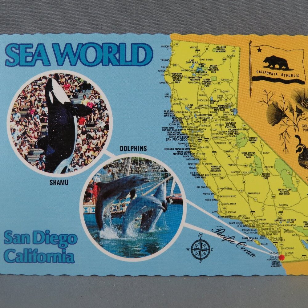 Vintage Postcard -Sea World San Diego with California State-The Continental Card